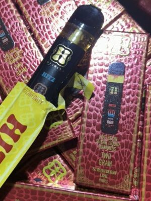 hitz 2g disposable infinity