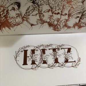 zeus hitz disposable