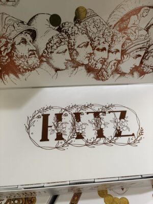 zeus hitz disposable